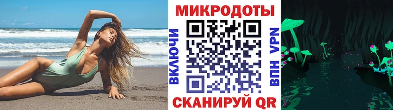 где купить наркотик Курган Галлюциногенные грибы MAGIC MUSHROOMS