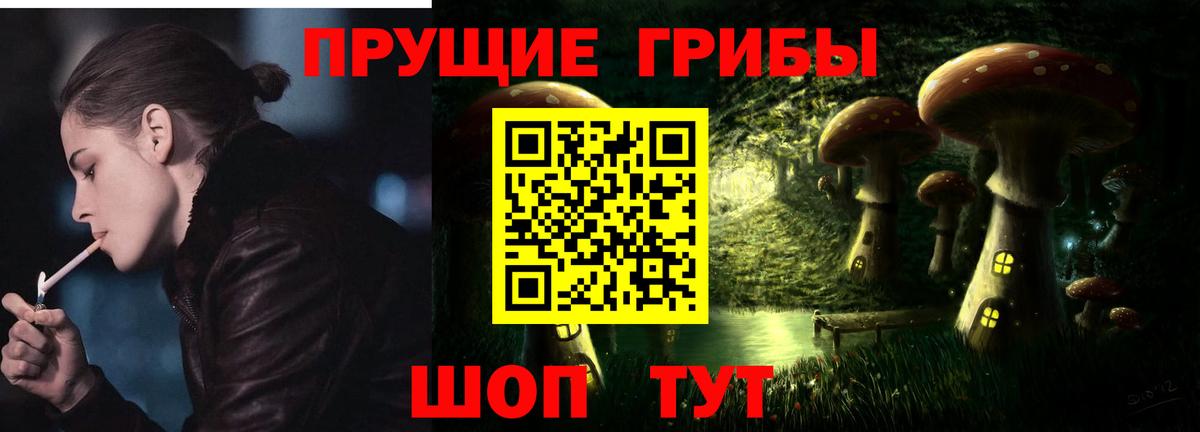 Псилоцибиновые грибы MAGIC MUSHROOMS  Вход с VPN  Курган 