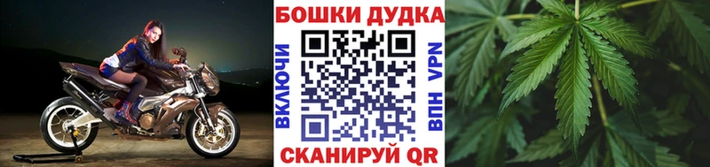 продажа наркотиков Курган это Telegram Шишки марихуана сатива кракен ССЫЛКА